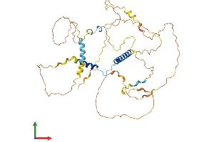 AlphaFold protein structure predicition of Human Recombinant FAM181B Protein, UniprotID A6NEQ2