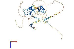 AlphaFold protein structure predicition of Mouse Recombinant Mier1 Protein, UniprotID Q5UAK0