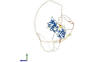 AlphaFold protein structure predicition of Human Recombinant MDM2 Protein, UniprotID Q00987
