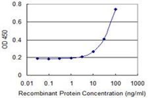 Detection limit for recombinant GST tagged KLK4 is 3 ng/ml as a capture antibody. (Kallikrein 4 anticorps  (AA 159-254))