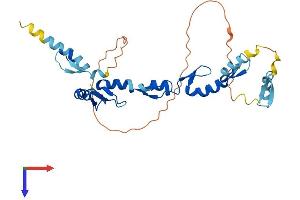 AlphaFold protein structure predicition of Human Recombinant XAF1 Protein, UniprotID Q6GPH4