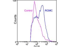 Flow cytometry analysis of HEK293 cells stably overexpressing RGMC stained with RGMC (human), mAb (1D7) at 1:100 dilution (blue line) or normal mouse IgG (control, purple line). (HFE2 anticorps  (AA 36-398))