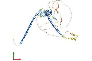 AlphaFold protein structure predicition of Human Recombinant CEP72 Protein, UniprotID Q9P209