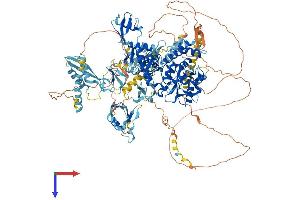 AlphaFold protein structure predicition of Human Recombinant VCPIP1 Protein, UniprotID Q96JH7