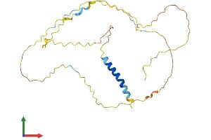 AlphaFold protein structure predicition of Human Recombinant LAT Protein, UniprotID O43561