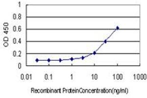 anti-HOP Homeobox (HOPX) (AA 1-73) antibody