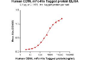 ELISA plate pre-coated by 2 μg/mL (100 μL/well) Human CD96, mFc-His tagged protein (ABIN6961101, ABIN7042231 and ABIN7042232) can bind Human CD155, hFc tagged protein ABIN6961168, ABIN7042365 and ABIN7042366 in a linear range of 62.