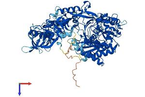 AlphaFold protein structure predicition of Mouse Recombinant Ago3 Protein, UniprotID Q8CJF9