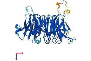 AlphaFold protein structure predicition of Human Recombinant EIF3I Protein, UniprotID Q13347
