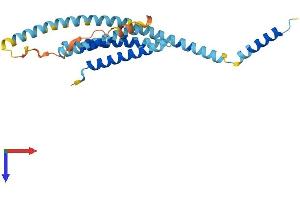AlphaFold protein structure predicition of Human Recombinant STX8 Protein, UniprotID Q9UNK0