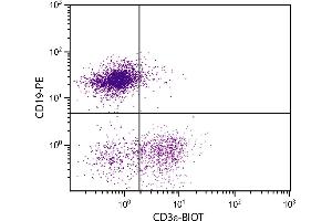 BALB/c mouse splenocytes were stained with Hamster Anti-Mouse CD3ε-BIOT. (CD3 epsilon anticorps  (Biotin))