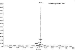 Mass Spectrometry (MS) image for Histone H3 (H3) (pThr3) protein (ABIN2669562)
