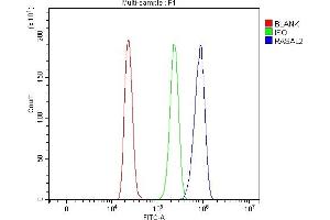 Flow Cytometry analysis of HL-60 cells using anti-RASAL2 antibody (ABIN7602198).