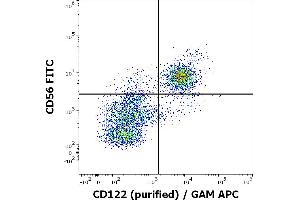 Flow cytometry multicolor surface staining of human CD3 negative lymphocytes stained using anti-human CD122 (TU27) purified antibody (concentration in sample 4 μg/mL, GAM APC) and anti-human CD56 (LT56) PE antibody (10 μL reagent / 100 μL of peripheral whole blood). (IL2 Receptor beta anticorps)