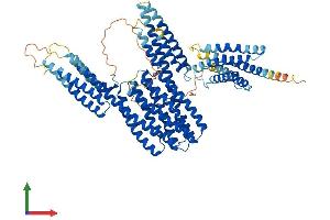 AlphaFold protein structure predicition of Mouse Recombinant Ctnnal1 Protein, UniprotID O88327