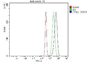 Flow Cytometry analysis of SiHa cells using anti-DYNLL1/PIN antibody (ABIN7599570).
