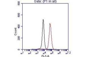 Flow Cytometry (FACS) image for anti-Tumor Protein P53 (TP53) (AA 50-100) antibody (ABIN7454600) (p53 anticorps  (AA 50-100))