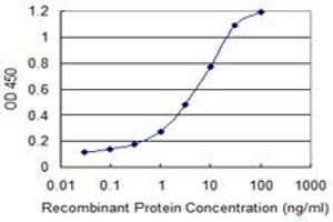 Detection limit for recombinant GST tagged SEC13 is 0. (SEC13 anticorps  (AA 226-324))