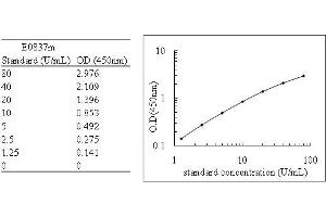 ELISA image for Nitric Oxide Synthase 2, Inducible (NOS2) ELISA Kit (ABIN455420) (NOS2 Kit ELISA)