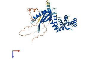 AlphaFold protein structure predicition of Mouse Recombinant Snx21 Protein, UniprotID Q3UR97