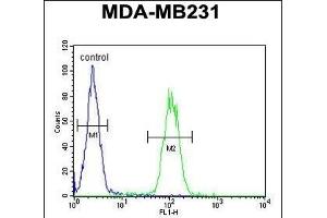 S1 Antibody (N-Term) (ABIN651199 and ABIN2840127) flow cytometric analysis of MDA-M cells (right histogram) compared to a negative control cell (left histogram). (AP1S1 anticorps  (N-Term))
