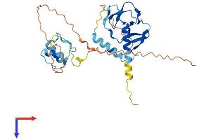 AlphaFold protein structure predicition of Mouse Recombinant Dppa2 Protein, UniprotID Q9CWH0