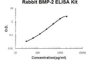 Rabbit BMP-2 PicoKine ELISA Kit standard curve (BMP2 Kit ELISA)