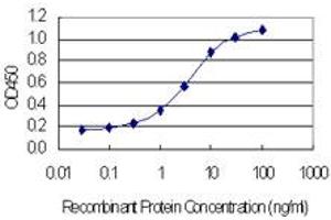 Detection limit for recombinant GST tagged NOP10 is 0.