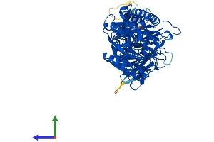 AlphaFold protein structure predicition of Human Recombinant PADI4 Protein, UniprotID Q9UM07