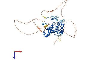 AlphaFold protein structure predicition of Human Recombinant TRMO Protein, UniprotID Q9BU70
