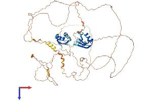 AlphaFold protein structure predicition of Human Recombinant RBM14 Protein, UniprotID Q96PK6