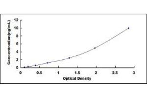 Typical standard curve (PRKAR2B Kit ELISA)