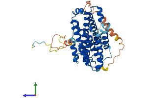 AlphaFold protein structure predicition of Mouse Recombinant Rrm2 Protein, UniprotID P11157