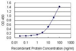 Detection limit for recombinant GST tagged MALT1 is 0.