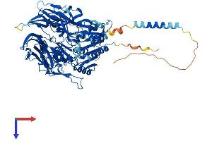 AlphaFold protein structure predicition of Human Recombinant DPP10 Protein, UniprotID Q8N608