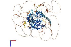 AlphaFold protein structure predicition of Mouse Recombinant Syngap1 Protein, UniprotID F6SEU4