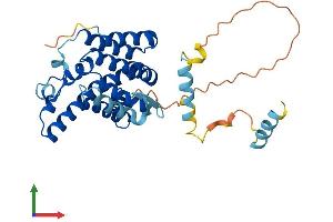 AlphaFold protein structure predicition of Human Recombinant RHBDD1 Protein, UniprotID Q8TEB9