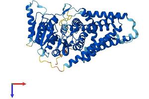 AlphaFold protein structure predicition of Human Recombinant HAS3 Protein, UniprotID O00219
