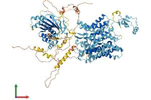 AlphaFold protein structure predicition of Mouse Recombinant Slc4a8 Protein, UniprotID Q8JZR6