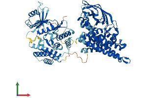 AlphaFold protein structure predicition of Human Recombinant ACAD11 Protein, UniprotID Q709F0