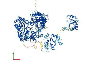 AlphaFold protein structure predicition of Human Recombinant LIG4 Protein, UniprotID P49917