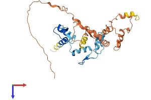 AlphaFold protein structure predicition of Human Recombinant ZFP42 Protein, UniprotID Q96MM3