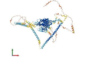 AlphaFold protein structure predicition of Mouse Recombinant Kif3c Protein, UniprotID O35066