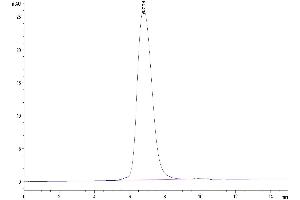 The purity of Mouse TIM-3 is greater than 95 % as determined by SEC-HPLC.