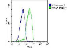 Overlay histogram showing HepG2 cells stained with Antibody (green line). (LGR5 anticorps  (AA 689-719))
