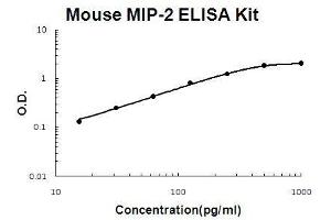 Mouse MIP-2 PicoKine ELISA Kit standard curve