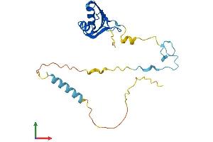 AlphaFold protein structure predicition of Human Recombinant ZCRB1 Protein, UniprotID Q8TBF4