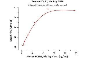Immobilized Folic acid-BSA conjugate at 1 μg/mL (100 μL/well) can bind Mouse FOLR1, His Tag (ABIN5526656,ABIN5526657) with a linear range of 0.