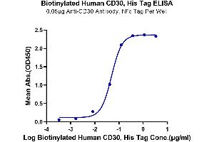 Immobilized Anti-CD30 Antibody, hFc Tag at 0.