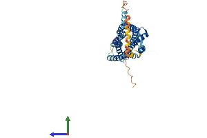 AlphaFold protein structure predicition of Human Recombinant ACKR2 Protein, UniprotID O00590